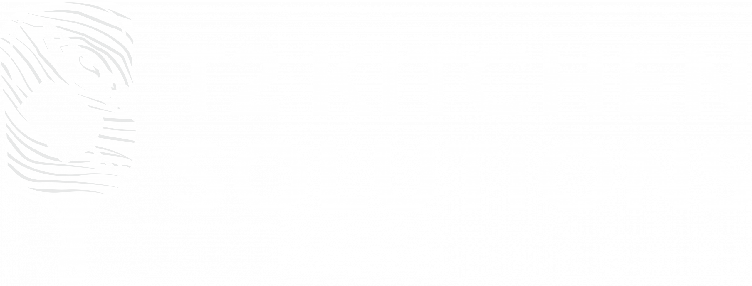 T2 Kitchen Solutions